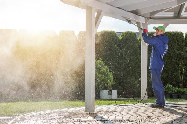 Best Solar Panel Cleaning  in Olean, NY