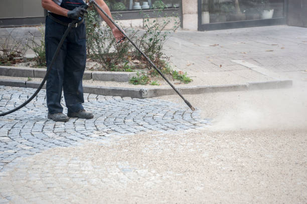 Best Animal Enclosure Cleaning  in Olean, NY